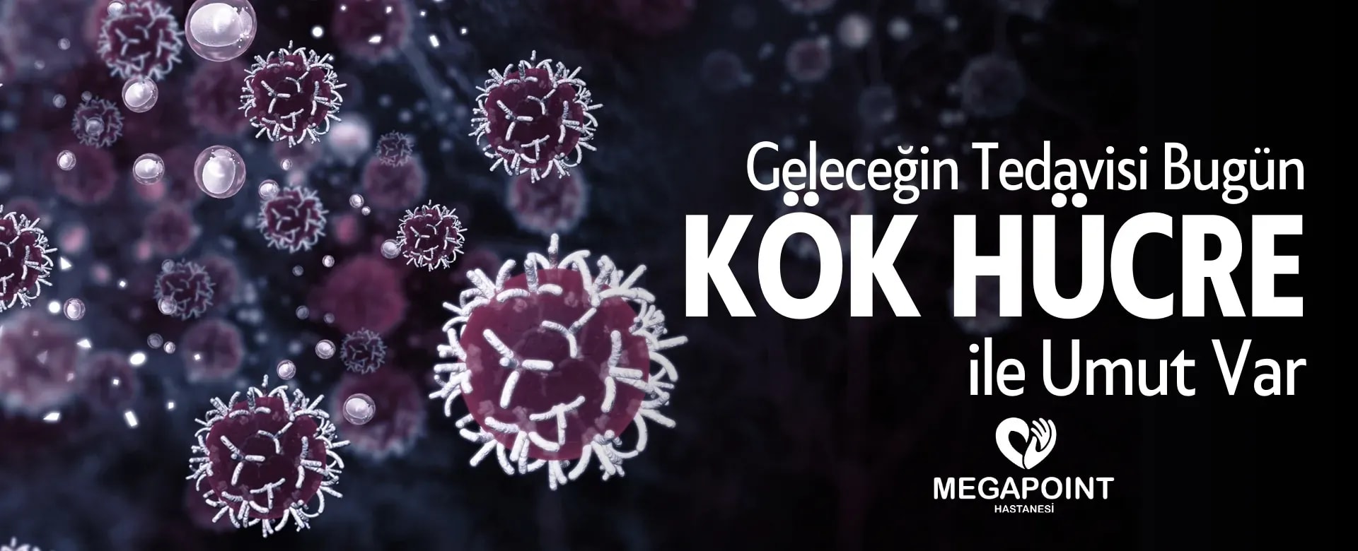 Megapoint Hastanesi İç Çekim